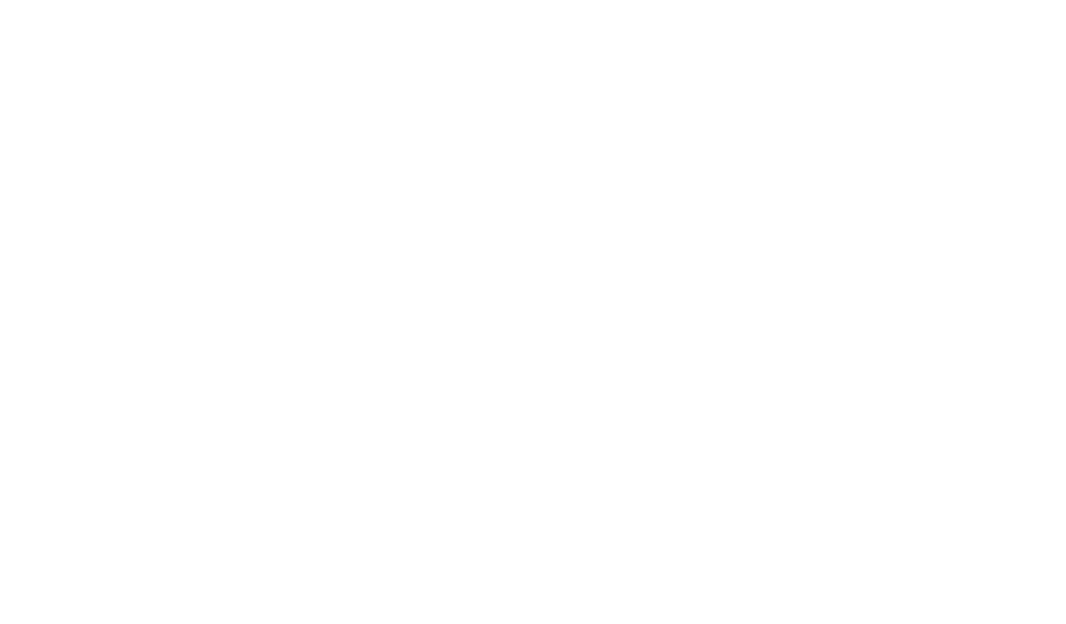 Promotech Inc.